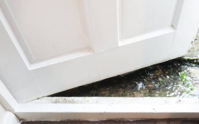 Have Water Damage? Work With a Water Damage Specialist