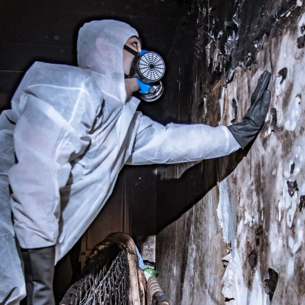 Prior Lake, MN, Water Damage Services for Homes