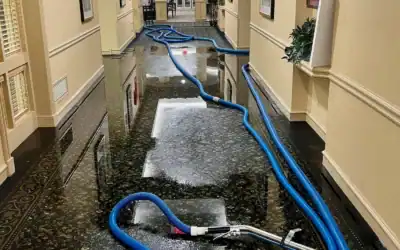 Top Signs You Need Professional Water Damage Restoration in Prior Lake, MN