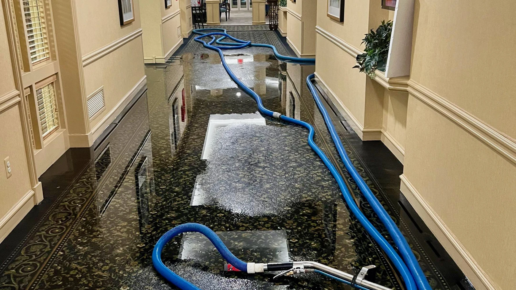 Top Signs You Need Professional Water Damage Restoration in Prior Lake, MN Top Signs You Need Professional Water Damage Restoration in Prior Lake, MN