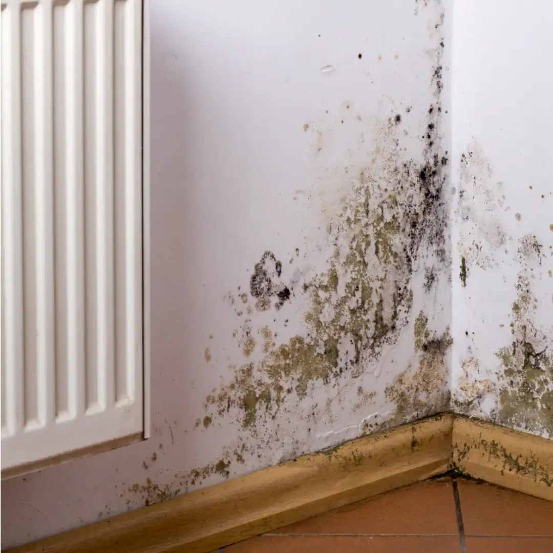 Water Damage Clean Up in Prior Lake